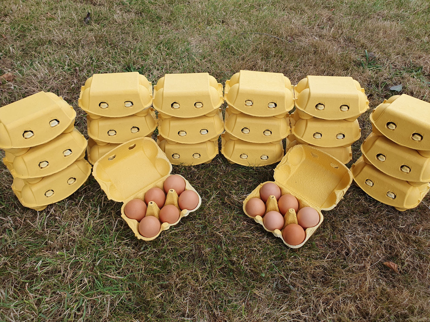 20x 6 Hill Farm Eggs bundle (INCLUDES COURIER DELIVERY)