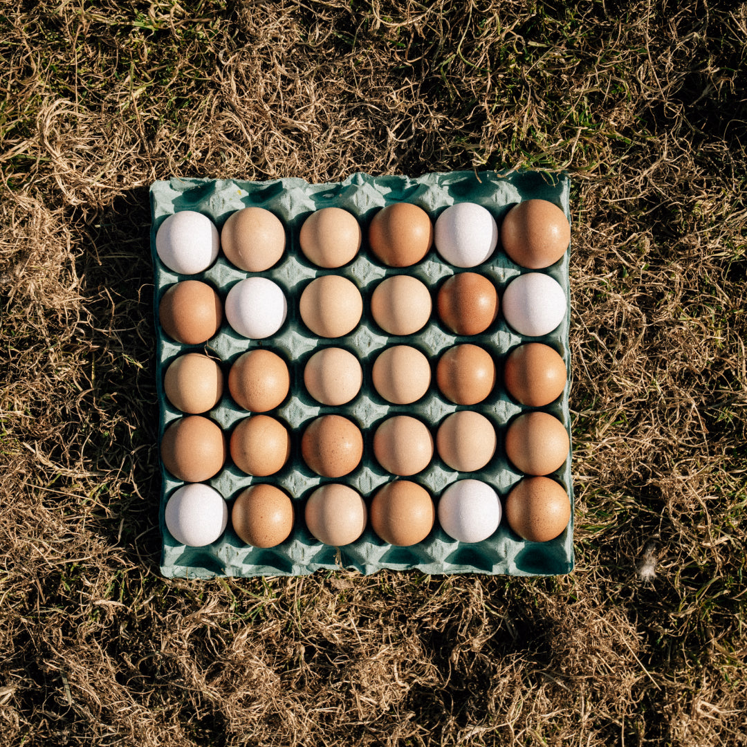 30 Hill Farm Eggs - COLLECTION ONLY -