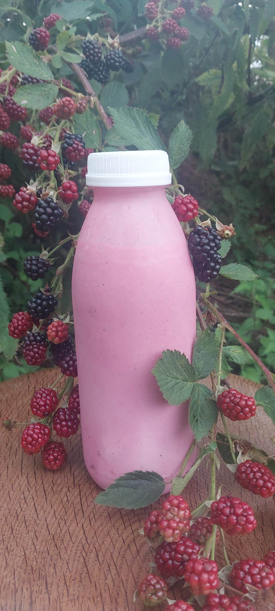 HILL FARM KEFIR 'BLACKBERRY' 500ml x 7 Bottle Bundle (INCLUDES COURIER DELIVERY)