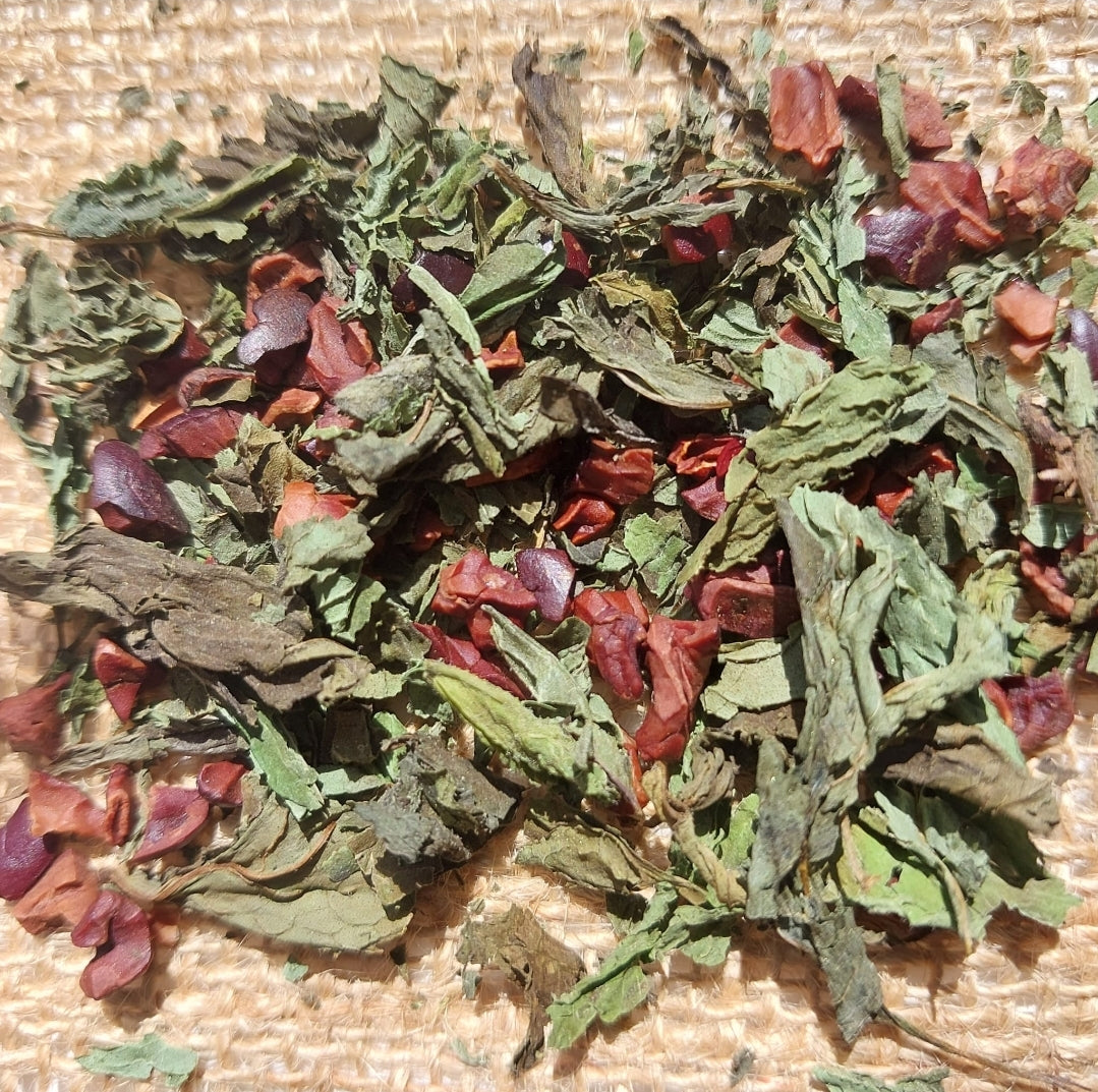 CacaoMint-Tea