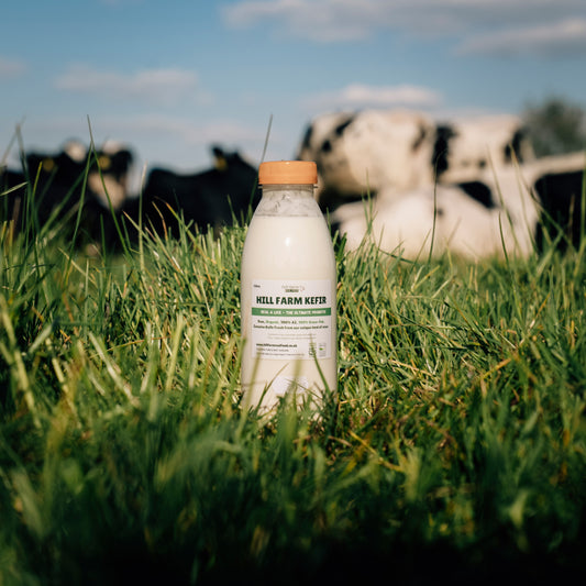 HILL FARM KEFIR 'Ginger & Maple Syrup' 500ml