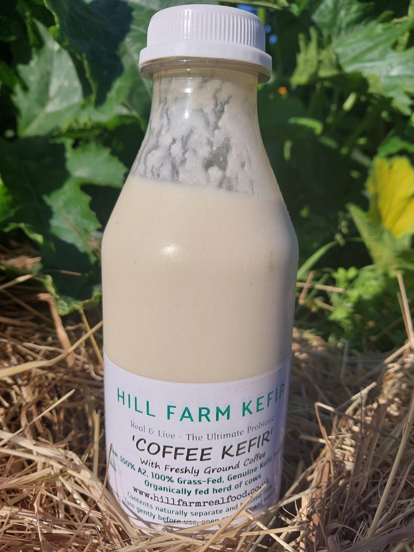 'COFFEE KEFIR' 500ml (limited edition)