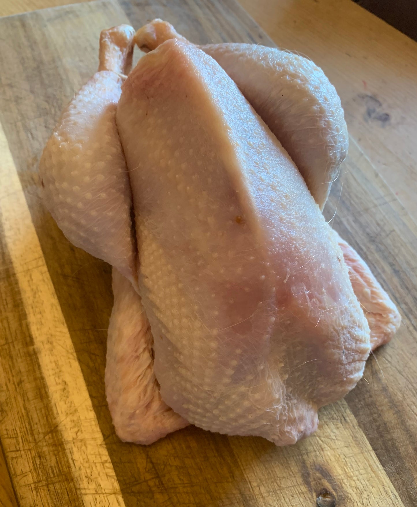 1 Stewing Hen (Ex-Layer)