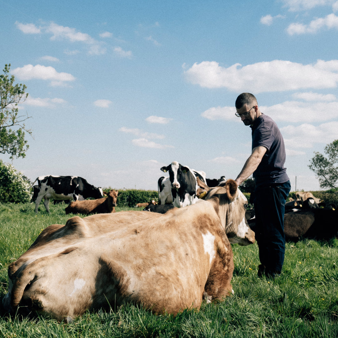 Do We Use Bovaer On Our Cows?
