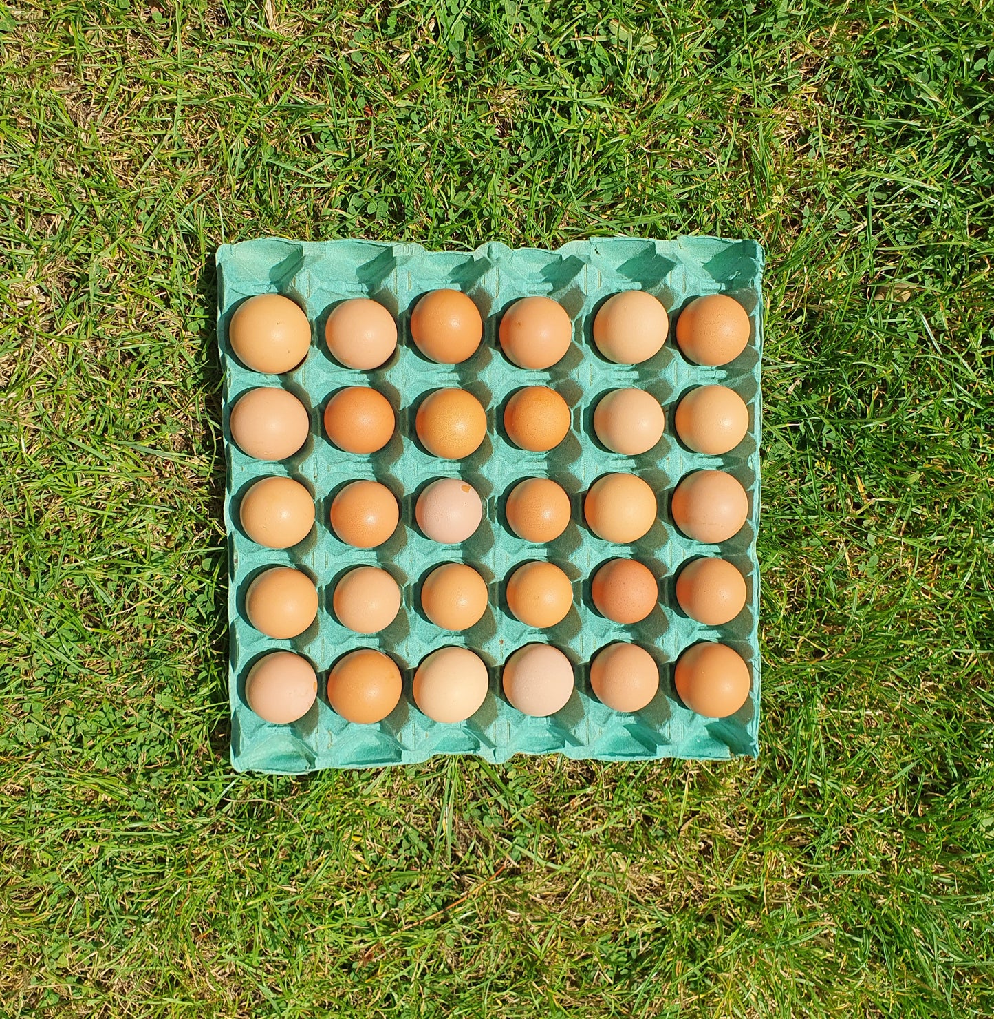 30 Hill Farm 'PULLET' Eggs - COLLECTION ONLY