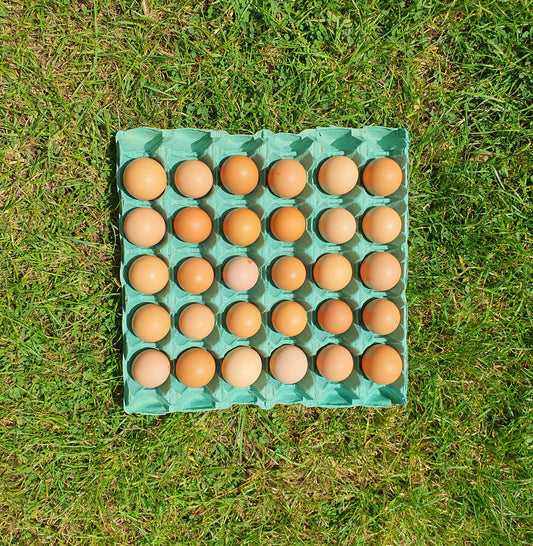 30 Hill Farm 'PULLET' Eggs - COLLECTION ONLY