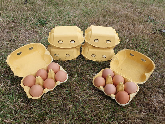 6x 6 Hill Farm Eggs bundle (INCLUDES COURIER DELIVERY)