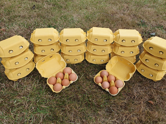 20x 6 Hill Farm Eggs bundle (INCLUDES COURIER DELIVERY)