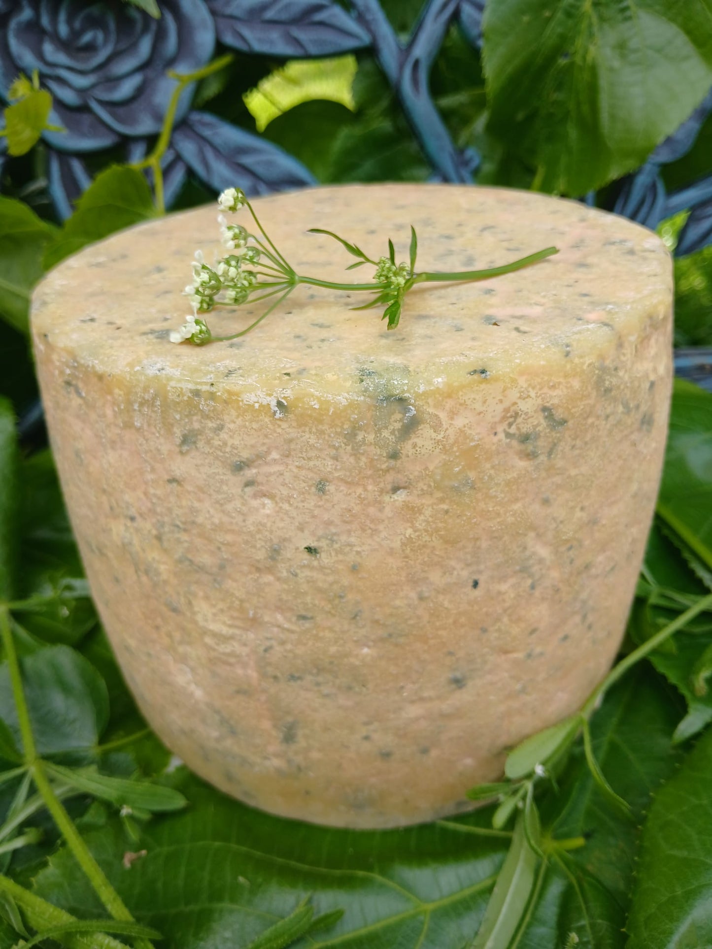 WILDWOOD Mature Cheddar with Wild Garlic (Raw)