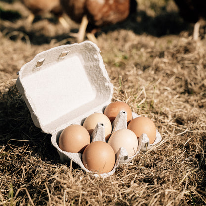 6 Hill Farm Eggs - COLLECTION ONLY -