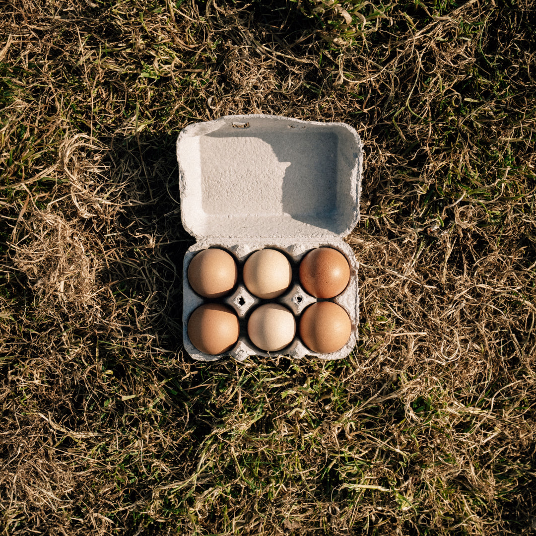 6 Hill Farm Eggs - COLLECTION ONLY -