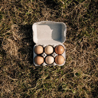 6 Hill Farm Eggs - COLLECTION ONLY -