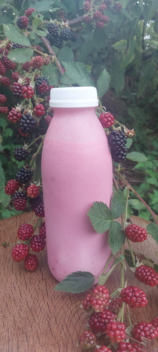 HILL FARM KEFIR 'BLACKBERRY' 500ml