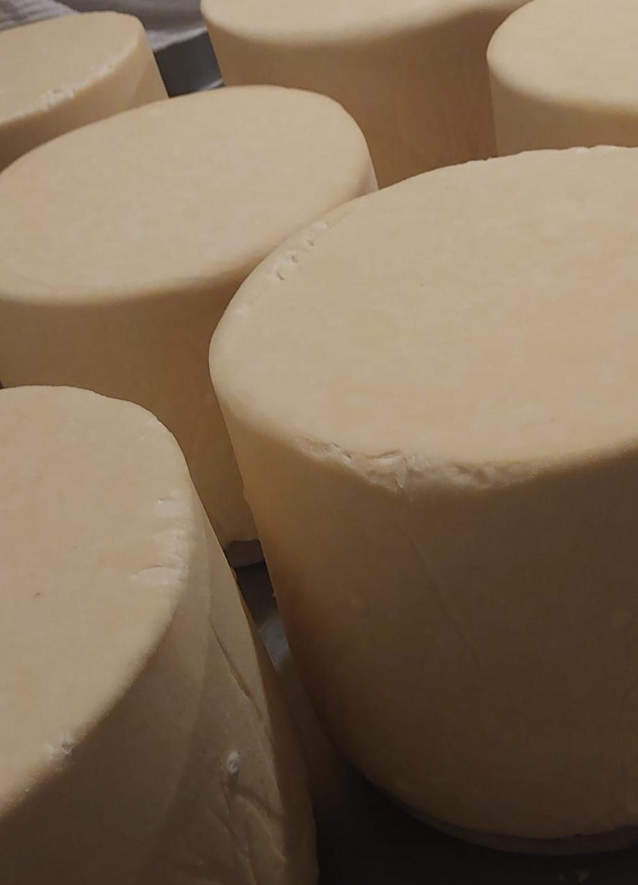 PAGEWOOD FRESH Cheddar Cheese (fresh & raw)