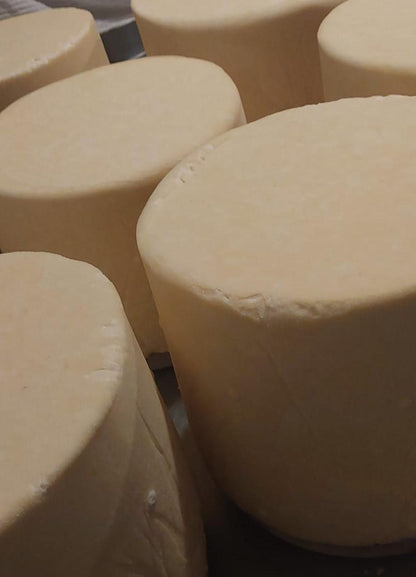 PAGEWOOD FRESH Cheddar Cheese (fresh & raw)