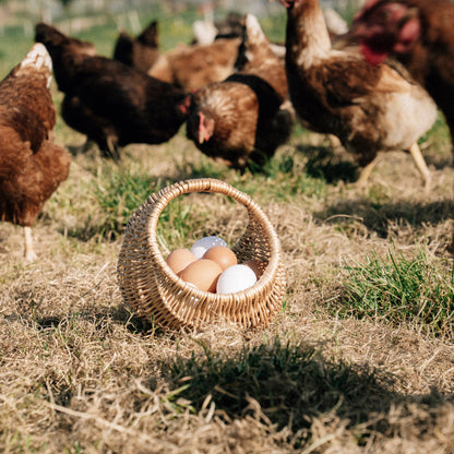 6 Hill Farm Eggs - COLLECTION ONLY -