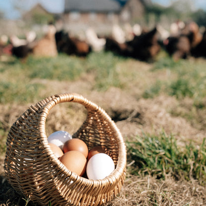 6 Hill Farm Eggs - COLLECTION ONLY -