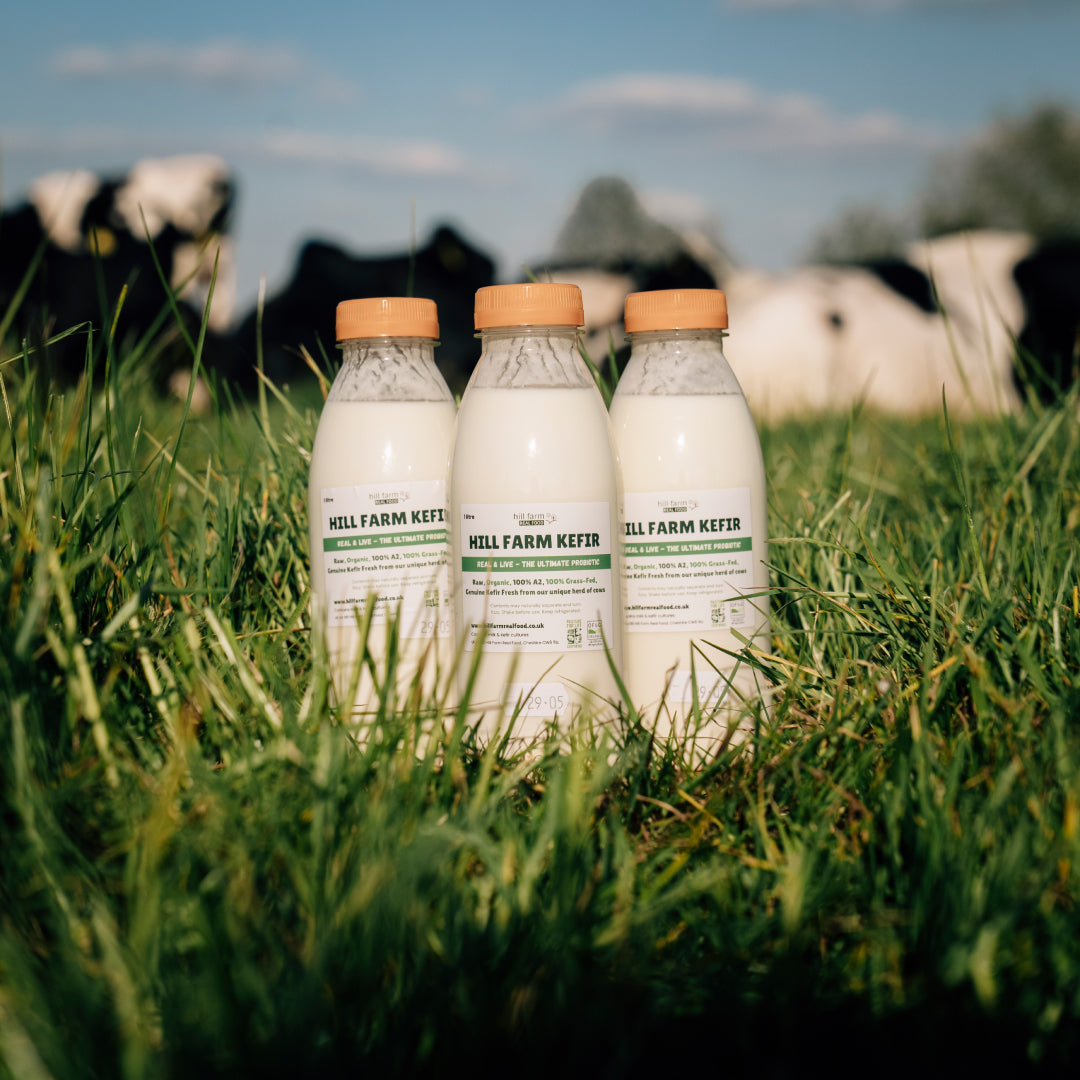 HILL FARM KEFIR 'Ginger & Maple Syrup' 500ml x 7 Bottle Bundle (INCLUDES COURIER DELIVERY)
