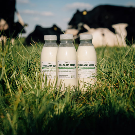 HILL FARM KEFIR 500ml x 14 Bottle Bundle (INCLUDES COURIER DELIVERY)