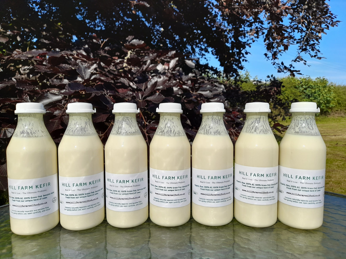 HILL FARM KEFIR 500ml x 7 Bottle Bundle (INCLUDES COURIER DELIVERY)