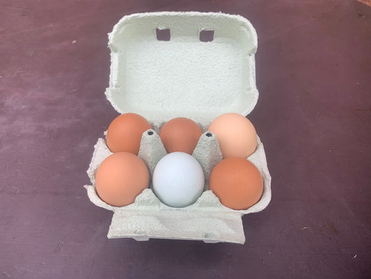 6 Hill Farm Eggs - local delivery or collection - please do not order if you are not in the stated local delivery areas as we cannot send by courier! Thanks :-)