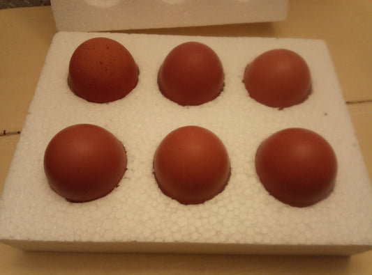 HILL FARM EGGS 9x 6-packs Bundle (COURIER DELIVERY COST INCLUDED)